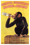 Anisetta Evangelisti, Liquore Da Dessert Posters