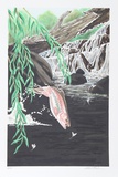 Rainbow Trout Limited Edition by Allen Friedman