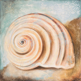 Seashell Collection IV Art by Patricia Pinto