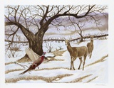 Sudden Spring Meeting Limited Edition by Allen Friedman