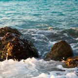 On the Rocks II Poster by Susan Bryant