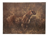 Leopard in the Grass Limitierte Auflage von Nancy Glazier