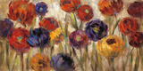 Asters and Mums Posters par Silvia Vassileva
