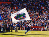 University of Florida - Florida Flag Fotografisk tryk University of Florida - Florida Flag Fotografisk tryk