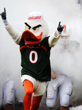 University of Miami - Sebastian Fotografisk tryk af Steven Murphy University of Miami - Sebastian Fotografisk tryk af Steven Murphy