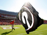 University of Georgia - Georgia Football Fotografisk tryk University of Georgia - Georgia Football Fotografisk tryk