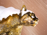 Washington State University - Cougar Statue Photographic Print
