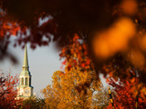 Wake Forest University - The Chapel in Autumn Fotografisk tryk Wake Forest University - The Chapel in Autumn Fotografisk tryk