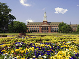 Oklahoma State University - Flowers Bloom Photographic Print
