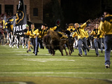 University of Colorado - Running with the Buffaloes Fotografisk tryk af Tim Benko