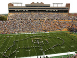 University of Colorado - Buffalo on the Field Fotografisk tryk