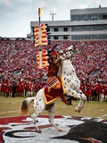 Florida State University - Renegade and Chief Osceola on the Field Photographic Print by Ross Obley