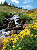 University of Colorado - Colorado Spring Fotografisk tryk