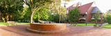 University of Florida - Gator Statue Panorama Photographic Print by Russell Grace