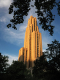 University of Pittsburgh - Leaves Frame the Cathedral Photographic Print by Will Babin