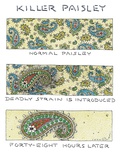 Panels show the progressive development of a "deadly strain" of paisley. A… - New Yorker Cartoon Premium Giclee Print by John O'brien
