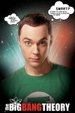 The Big Bang Theory-Sheldon Poster