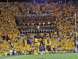 Louisiana State University - LSU Flags Fotografisk tryk