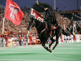 Texas Tech University - The Masked Rider Takes the Field for Texas Tech Fotografisk tryk af Norvelle Kennedy Texas Tech University - The Masked Rider Takes the Field for Texas Tech Fotografisk tryk af Norvelle Kennedy