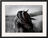 Fierce Grace Prints by Tony Stromberg