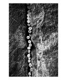 Cigarettes Photographic Print by Lars Hallstrom