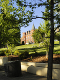 Washington State University - Thompson Hall Photographic Print