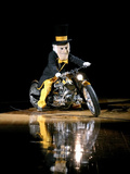 Wake Forest University - Demon Deacon Fotografisk tryk Wake Forest University - Demon Deacon Fotografisk tryk