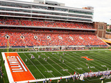 University of Illinois - Memorial Stadium Photographie