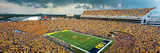 Louisiana State University - LSU Sea of Gold Photographic Print