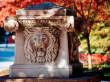 Purdue University - The Roar of Autumn Photographic Print