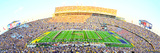 Louisiana State University - Tiger Stadium Photographic Print