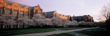 University of Washington - Quad Panorama Photographic Print