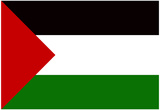 Palestine Flag Print