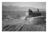 Benji Iguchi Driving Tractor in Field Posters par Ansel Adams