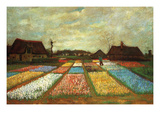 Flower Beds of Holland Prints by Vincent van Gogh