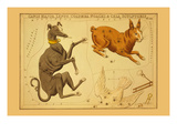 Canis Major, Lepus, Columba Noachi and Cela Sculptoris Posters by Aspin Jehosaphat