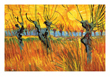 Pollard Willows at Sunset Photo by Vincent van Gogh