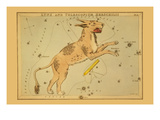 Lynx and Telescopium Herschilii Prints by Aspin Jehosaphat