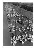 Poultry Farm Posters by Ansel Adams