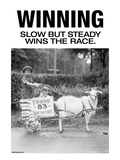 Winning Posters