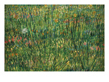 Patch of Grass by Van Gogh Poster by Vincent van Gogh