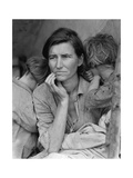 Destitute Pea Pickers Plakater af Dorothea Lange