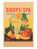 Sirop De Spa Photo