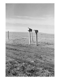 The Rolling Lands Posters by Dorothea Lange