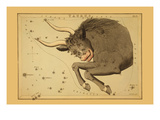 Taurus the Bull Posters by Aspin Jehosaphat