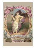 Dr. Roback's Stomach Bitters Posters by  Gibson