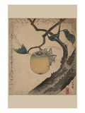 Grasshopper Eating Persimmon. Posters par Katsushika Hokusai