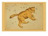 Ursa Major Photo by Aspin Jehosaphat
