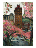 Cherry Blossoms Prints by Noel Miles
