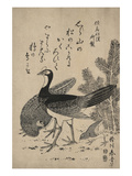 Wildfowl and Pine Print by Katsukawa Shunsei